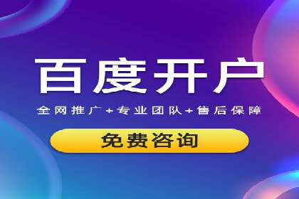 精准营销：百度推广平台的成功案例解析